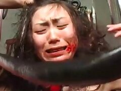 Free Zoo porno video